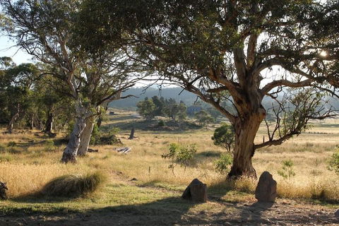 Ecocrackenback 5 'Sustainable Chalet Close To The Slopes - Holiday Adelaide 5