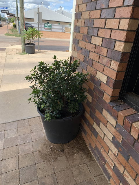 Central Motel - Holiday Adelaide 0