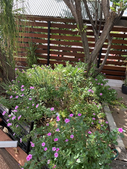 Central Motel - Holiday Adelaide 3