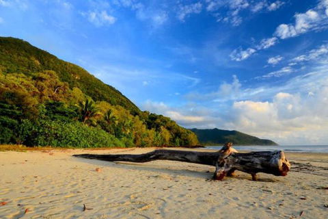 Daintree Rainforest Beach House - Holiday Adelaide 7