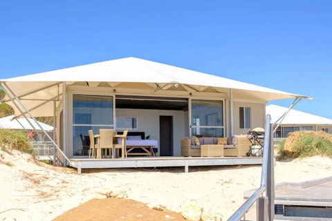 Discovery Rottnest Island - Holiday Adelaide 4