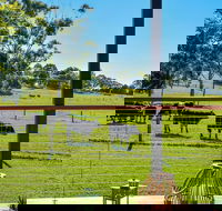 Curra Homestead Maleny - Holiday Adelaide