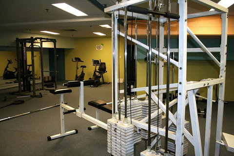 Sydney Inner City Sanctuary - Holiday Adelaide 3