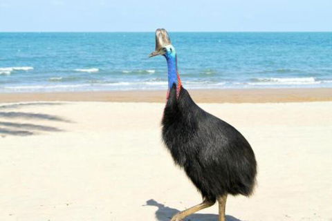 Kirrama 3 - Holiday Adelaide 4
