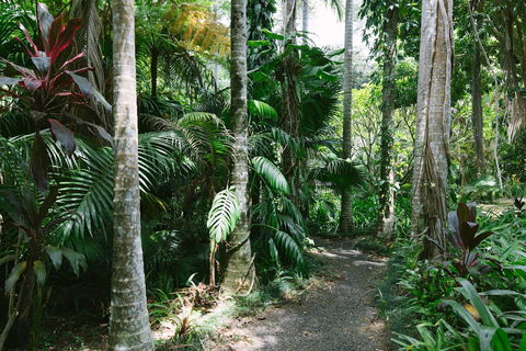 Sanctuary In The Pocket - Holiday Adelaide 3