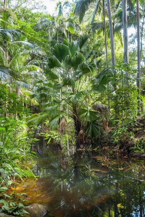Sanctuary In The Pocket - Holiday Adelaide 1