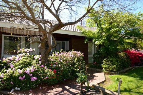 Clarence House Bright - Holiday Adelaide 4