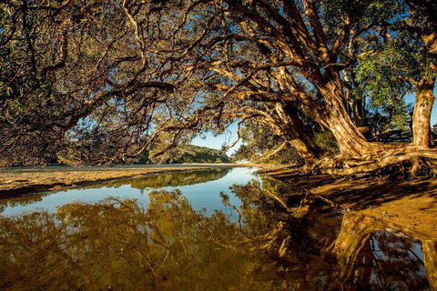 Woolgoolga Lakeside Holiday Park - Holiday Adelaide 1