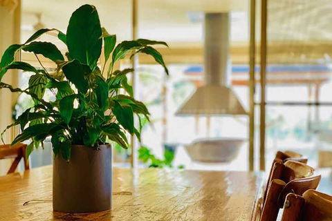 Grand Gippsland Home Sleeps Up To 28 - Holiday Adelaide 4