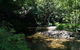 Noah Creek Eco Huts - thumb 4