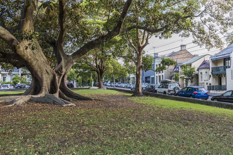 A Walk To Syd Uni & RPA Hospital - Holiday Adelaide 1