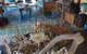 Bremer Island Banubanu Beach Retreat - thumb 4