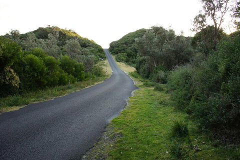 Venus Escapes Guesthouse - Holiday Adelaide 2