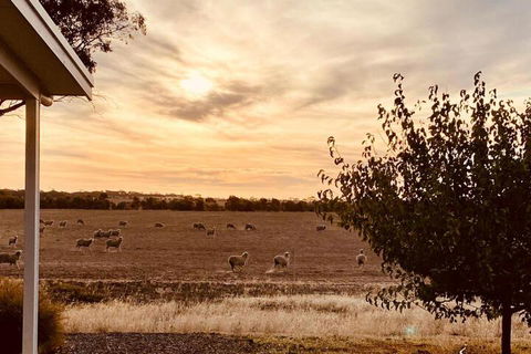 Marys Farm Cottages - Holiday Adelaide 3