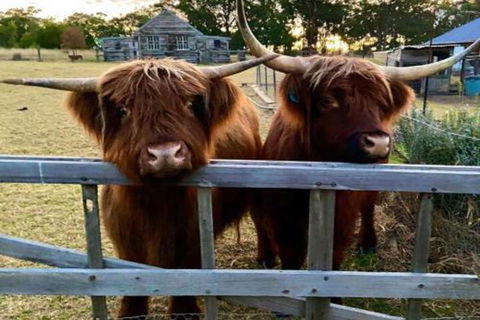 Straw House Farm B & B - Holiday Adelaide 4