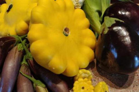 Straw House Farm B & B - Holiday Adelaide 6