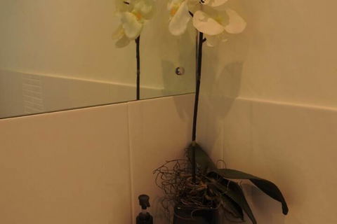 Sanctuary In The Valley - Holiday Adelaide 4