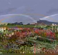 Boat Harbour Garden Cottages - Holiday Adelaide