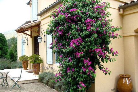 Casa Valeri - Holiday Adelaide 3