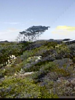 Lantauanan - Holiday Adelaide 1