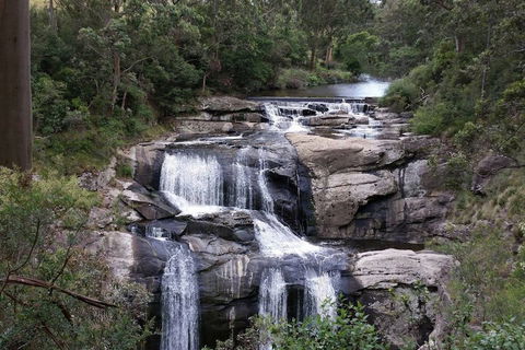 Toora Lodge Motel - Holiday Adelaide 2