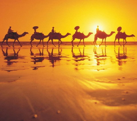 Mantra Frangipani Broome - Holiday Adelaide 1
