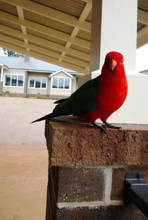 Marysville Garden Cottages - Holiday Adelaide 3