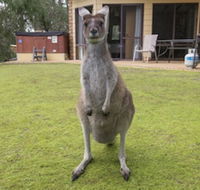 Yelverton Brook Conservation Sanctuary - Holiday Adelaide