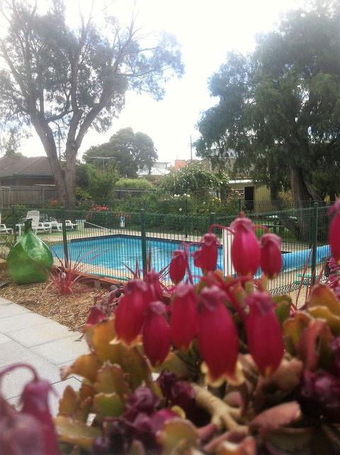 Parkwood Motel And Apartments - Holiday Adelaide 3