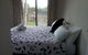 Warrnambool Holiday Accommodation - thumb 3