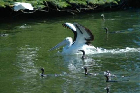 Alexander Lakeside Bed & Breakfast - Holiday Adelaide 5