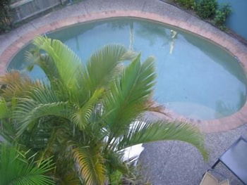 Noosa River Sandy Shores - Holiday Adelaide 4