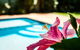 Coffs Harbour Holiday Apartments - thumb 1
