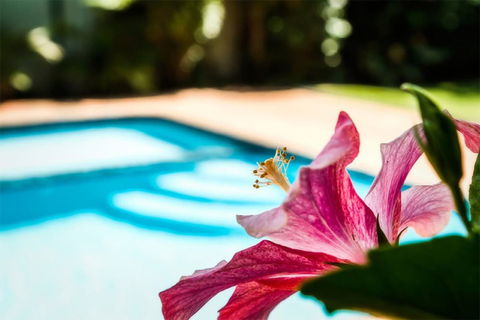 Coffs Harbour Holiday Apartments - Holiday Adelaide 1