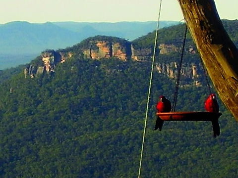 Valley Of The Waters B&B - Holiday Adelaide 3