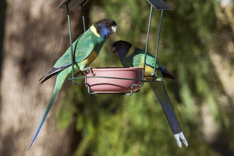 Kathys Place Bed And Breakfast - Holiday Adelaide 2