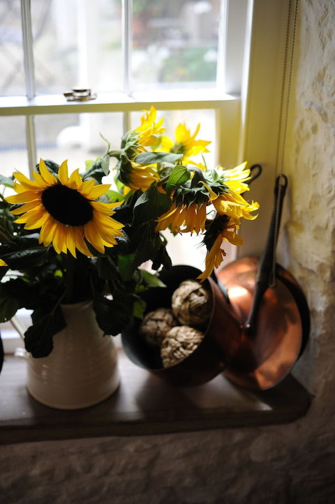 Red Feather Inn - Holiday Adelaide 5