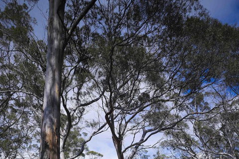Rocky Hills Retreat - Holiday Adelaide 7