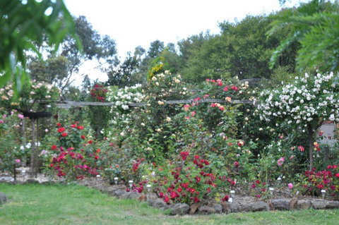 Fairy Wren Cottage Country To Coast Retreat - Holiday Adelaide 6