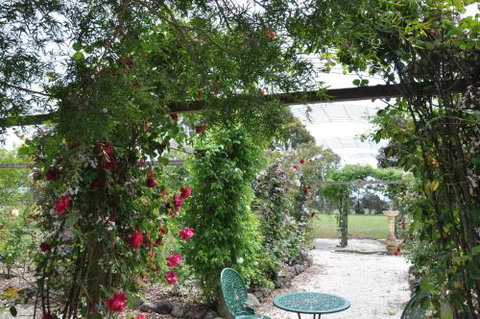 Fairy Wren Cottage Country To Coast Retreat - Holiday Adelaide 1