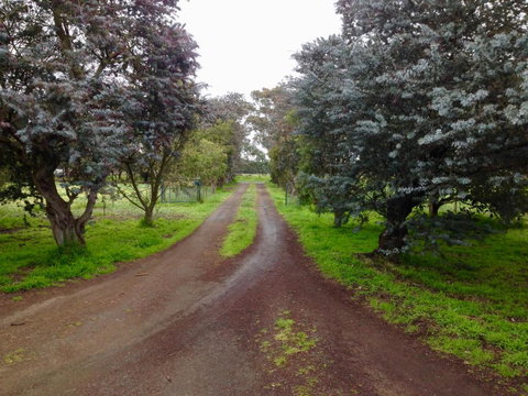 Fairy Wren Cottage Country To Coast Retreat - Holiday Adelaide 4