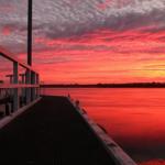 Fairy Wren Cottage Country To Coast Retreat - Holiday Adelaide 0