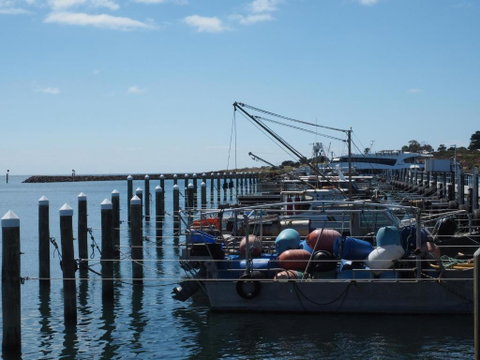 Port Relaxation - Holiday Adelaide 5