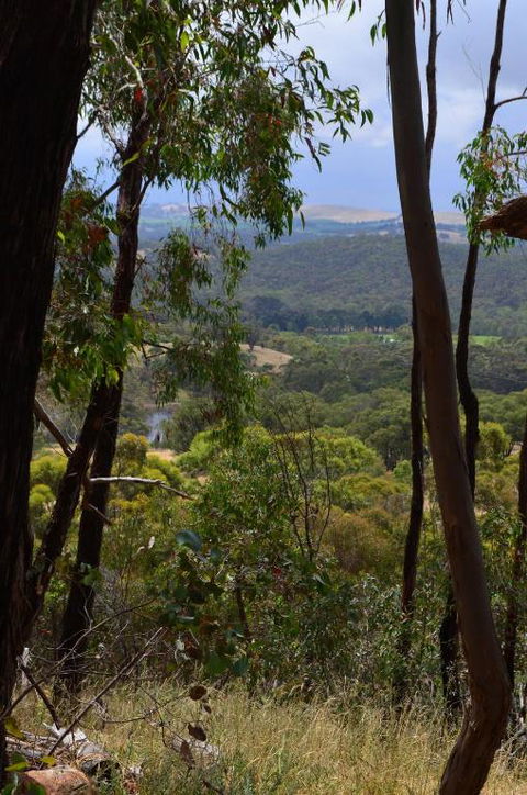 Trestrail Cottage B & B - Holiday Adelaide 3