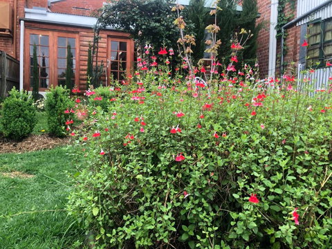 The Shopkeepers Quarters - Holiday Adelaide 6