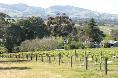 Archery Road Estate - Holiday Adelaide 0