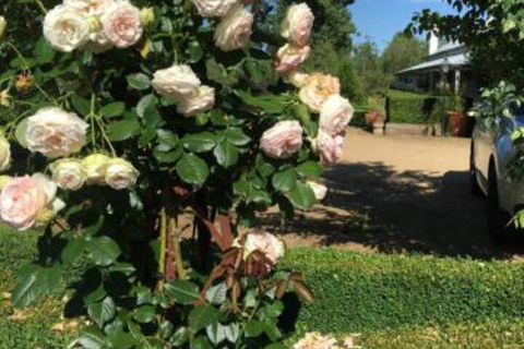 Petschel House - Holiday Adelaide 3