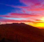 One Tree Hill - Holiday Adelaide