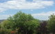 Costa Park Cottage Dio Armidale - thumb 3