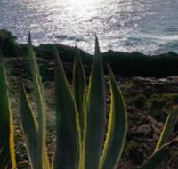 Ven  Marks Place - Holiday Adelaide